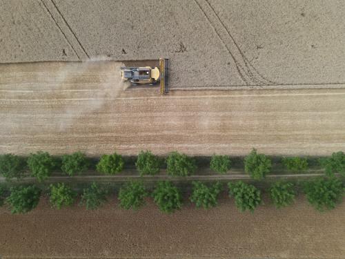 DJI_3633.JPG